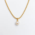 Pretty Shimmering Things gold-toned beaded chain necklace with a single lustrous white pearl pendant.
